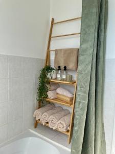 Lescapade de saint Antoine