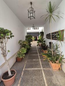 AH-Sevilla -Bellas Artes