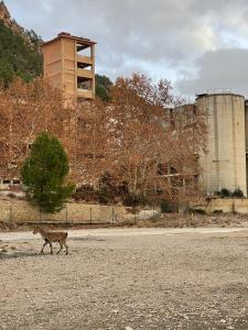 Casa rural muy acogedora