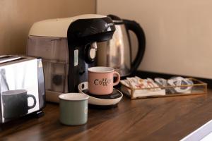 Sika President Garden & Spa Central Apartment Arad