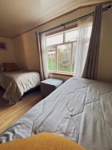 Refugio Ballena Hostel