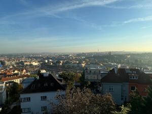 Family-Friendly & Stunning Views