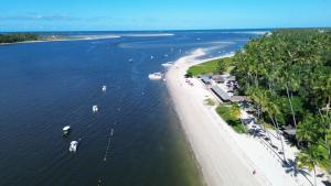 Amura Carneiros - Pé na areia - Trecho Exclusivo