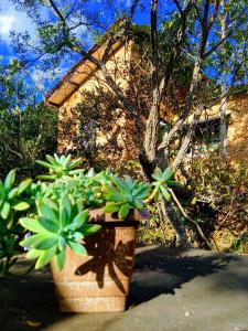 Winará - Turismo de aventura