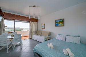 Beachfront studio with incredible views