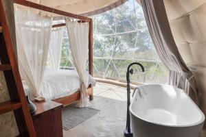 Alaya Jungle Mansion