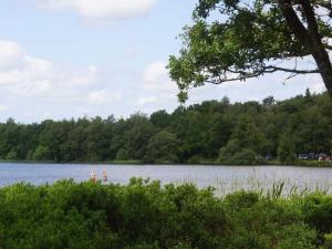 8 person holiday home in Ansager