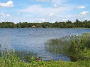 8 person holiday home in Ansager