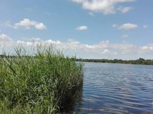 5 person holiday home in Ansager-By Traum