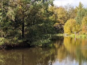 8 person holiday home in Oksbøl-By Traum