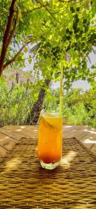 Afra Camp -- Paradise Valley