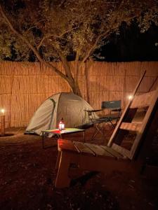 Afra Camp -- Paradise Valley