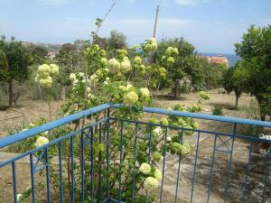 Maria's Houses Messinia Greece