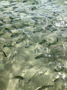 Casa de alto padrão em Maragogi - Alagoas