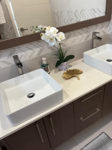 One Love Escape & Tours