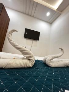 Ap shankar paying guest house