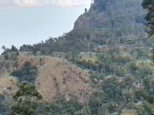 Apurvi Homestay