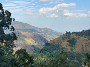 Apurvi Homestay
