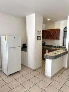 Departamento Tortuga