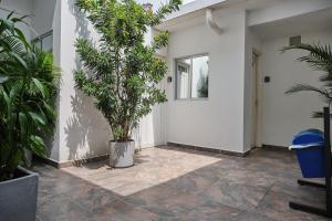 Apartamentos y Loft en Zona Rosa de Laureles