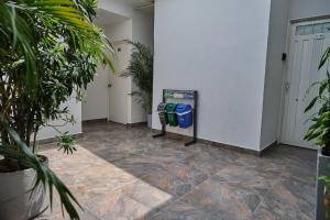 Apartamentos y Loft en Zona Rosa de Laureles