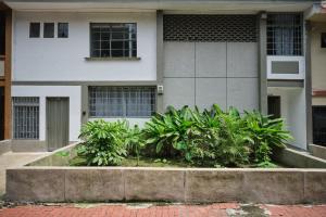 Apartamentos y Loft en Zona Rosa de Laureles