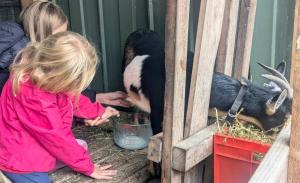Blue Mountains Urban Farm Stay near Sydney
