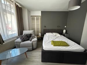 Appartements HIRONDELLES: Studio en plein coeur de la roche-Posay - FR-1-541-180 : photos des chambres