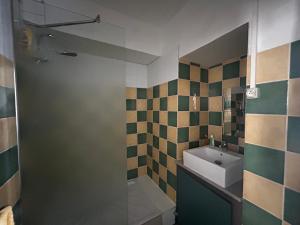 Appartements HIRONDELLES: Studio en plein coeur de la roche-Posay - FR-1-541-180 : photos des chambres