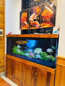 Đại Nội Saphia Homestay