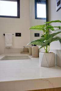 Casa Cretaceous Modern villa 10 min walk to the beach