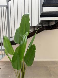 Aqua Haven - Modern Waterfront Escape