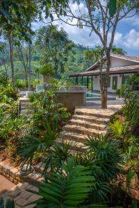 Sinharaja River Lodge