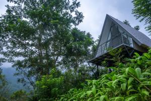 Sinharaja River Lodge