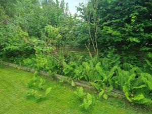 Modern House With Outdoor Spa And Sauna