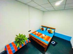 Basilu Homestay