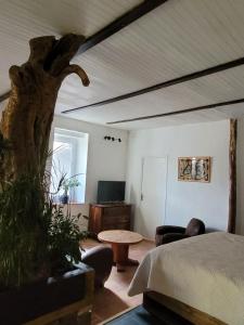 Maisons de vacances Maisonnette avec terrasse sur le Gardon : photos des chambres