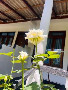 Soorya Inn Ella