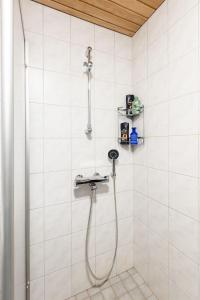 Alppitähtikeskus A2 Visit Levi