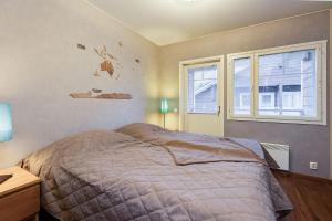 Alppitähtikeskus A2 Visit Levi