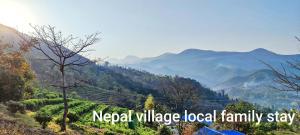 Nepal Village Local Family Stay - Ideal for Eco-Conscious Travelers
