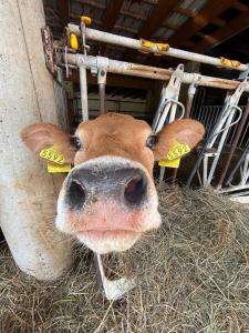 Appartamenti Agritur Mas da la Val