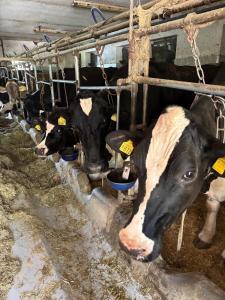 Appartamenti Agritur Mas da la Val