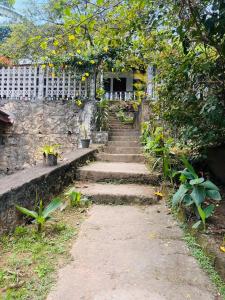Soorya Inn Ella