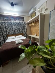 White Light home stay