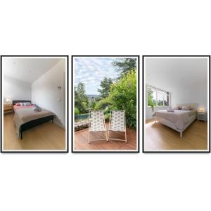 La maison des Fleurs - Superbe maison sur les hauteurs de Clermont