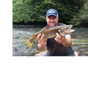 Les appart'hotels de la fontaine : photos des chambres