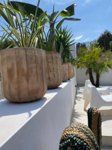 Villas Villa Elucci : photos des chambres