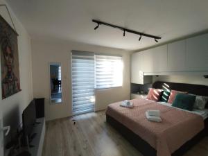 Apartman Sky 1