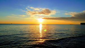 One Bed Condo With Free Street Parking